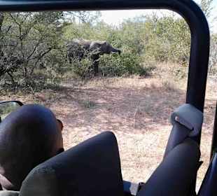 Krüger Nationalpark