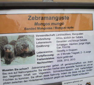 Impressionen aus dem Landauer Zoo