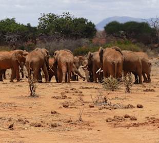 Geführte Touren Marco Polo Tours & Safaris Diani Beach 