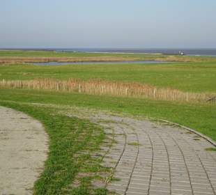 Blick vom Hauptdeich über die Salzwiesen