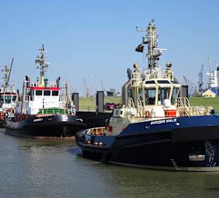 Eindrücke aus dem Schlepperhafen