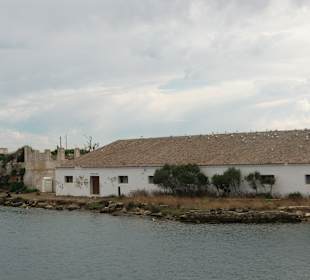 Hafenrundfahrt in Mahon