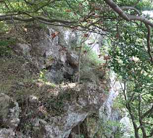 Tour entlang der Traifelbergfelsen