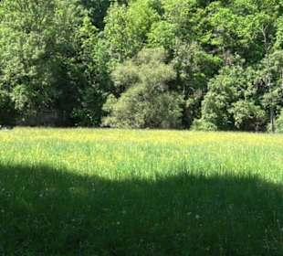 Wanderweg Sieben-Täler-Runde 