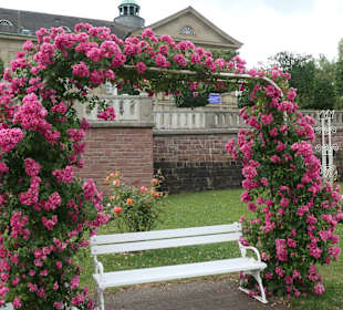 Bad Kissingen: Spaziergang durch den Rosengarten