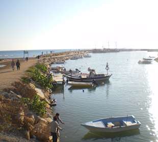 Blick von der Brücke in Evrensek
