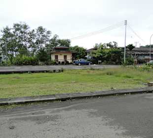 Wildlife Expeditions