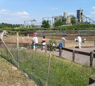 Prärie der Indianer