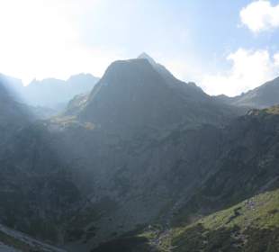 Plesnivec