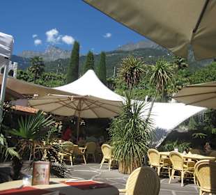 Palmengarten