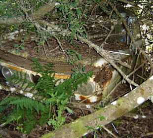 Autofriedhof am Foxen