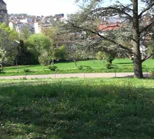 Parkanlage Villa Berg