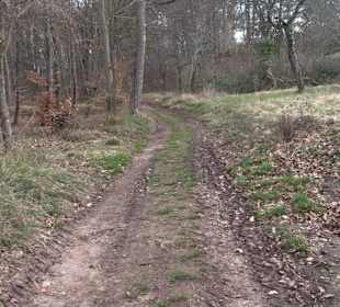 Unterjesinger Wengertwegle