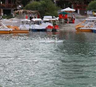 Озеро Курнас 