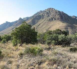 Guadalupe Mountains National Park, Texas