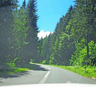Herrliche Wälder Natur pur besser wie AB