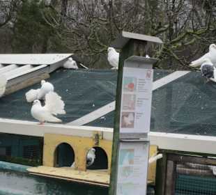 Tierpark Bad Schönborn