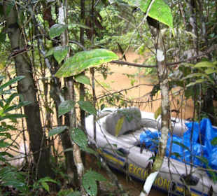 Expidition ins Innere des Regenwaldes