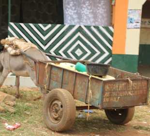 Auch der landwirtschaftliche Handel wird gedul