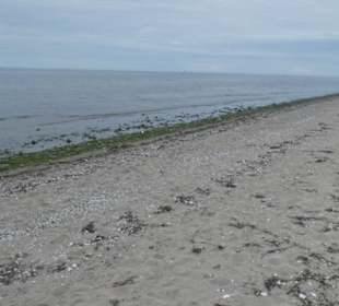 Am Naturstrand von Rosenhagen