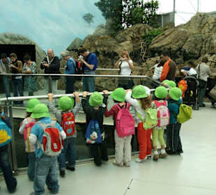 Begeisterte Besucher