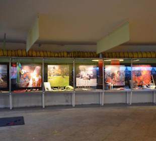 Freilichtmuseum Skansen