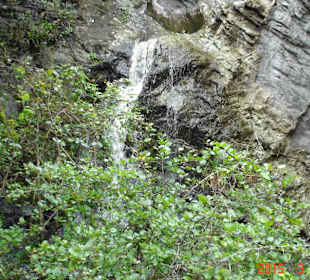 Tsitsikamma National Park