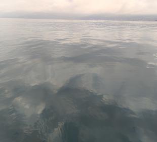 Stadtrundgang Rijeka