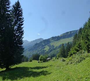 Bei einer Wanderung vom Söllereck zum Freibergsee