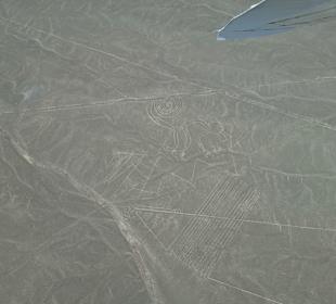 Nazca Linien aus der Luft