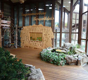 Ausstellung sagenumwobene Bergwildniss