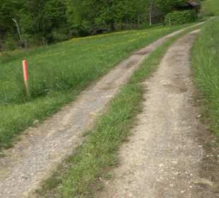 Wandertour Feuchtgebiet Schönbuch