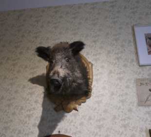SchweineMuseum