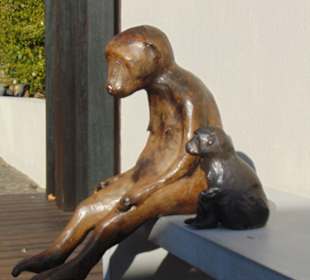 Weingut Tokara in Stellenbosch