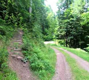 Wandern Schenkenzell