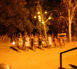 Krüger Nationalpark