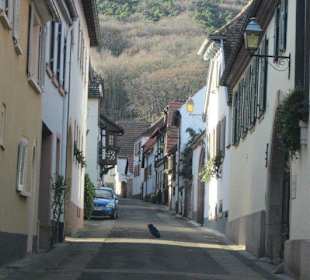 Hambacher Schloss von der Schlossgasse aus