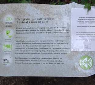 Dinosaurier Museum Altmühltal