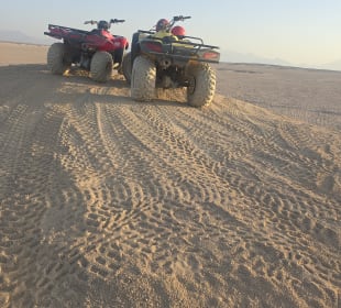 Private Quadtour 