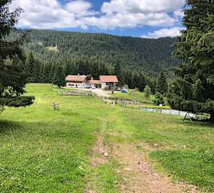 Wandern Nova Ponente / Deutschnofen