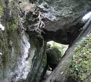 Märchenwald bei Ruhpolding