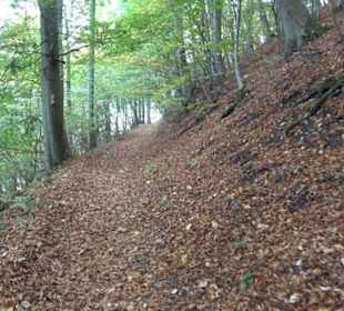 Premiumwanderweg hochgehkeltert Neuffen