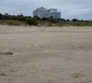 Hilton und  Radisson Blu