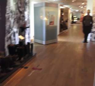 Badisches Landesmuseum