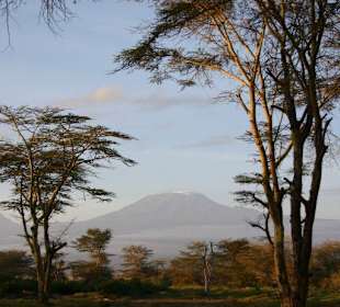 Morgens am Kilimanjaro