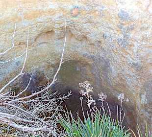 Seven Hanging Valleys Trail 