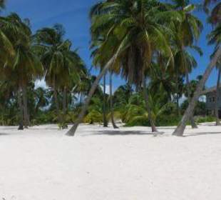 Strand auf Saona