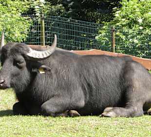 Serengeti Park Hodenhagen