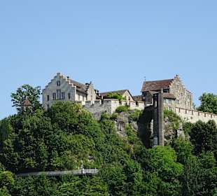 Am Rheinfall