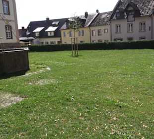 Breisacher Brunnen St. Peter